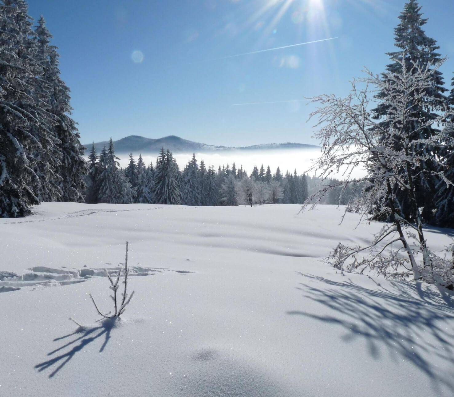 Schneeschuhwandern - Einsteigertour.