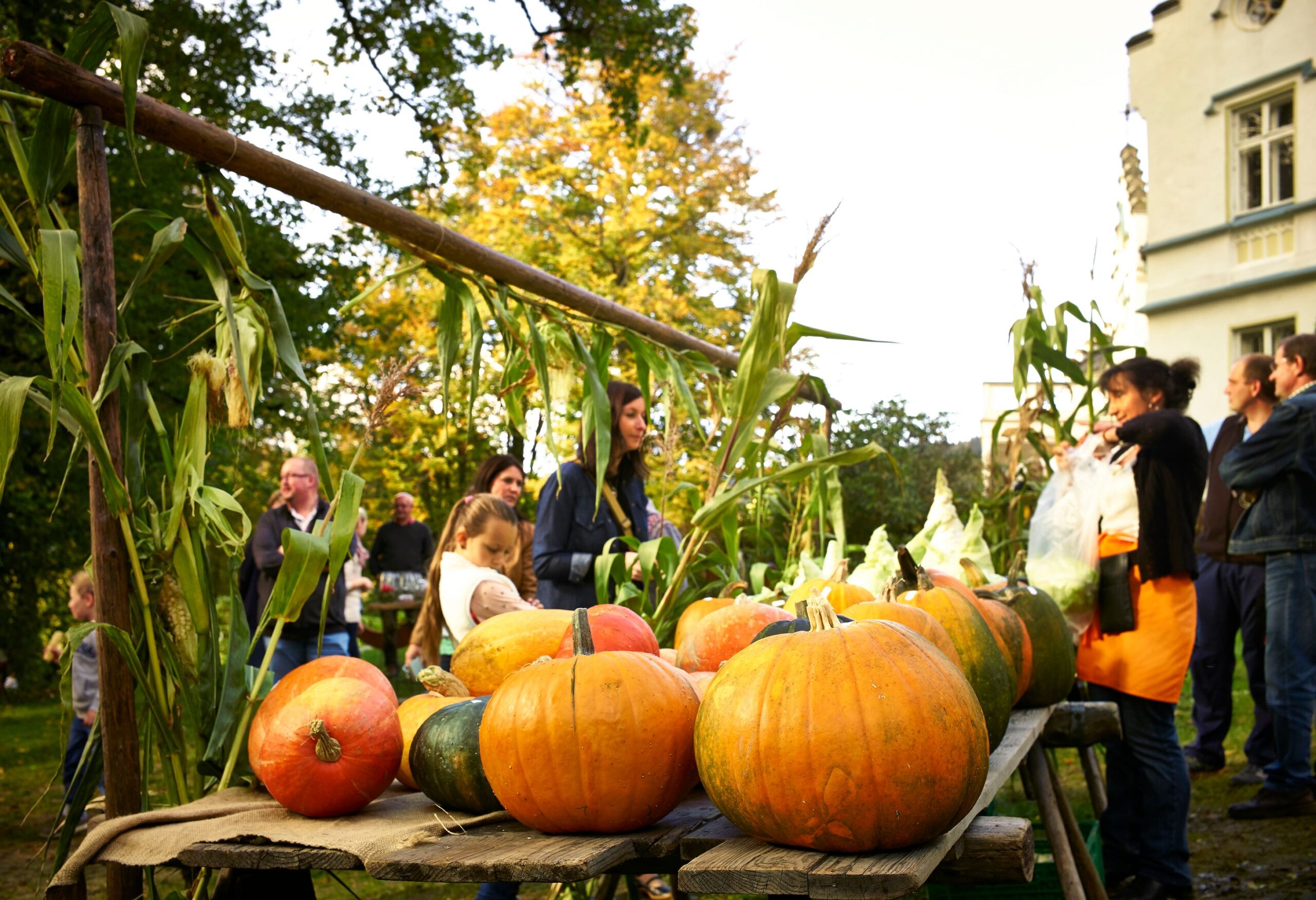 Herbstmarkt auf Schloss Buchenau., © Woidlife Photografie Herbstmarkt auf Schloss Buchenau.