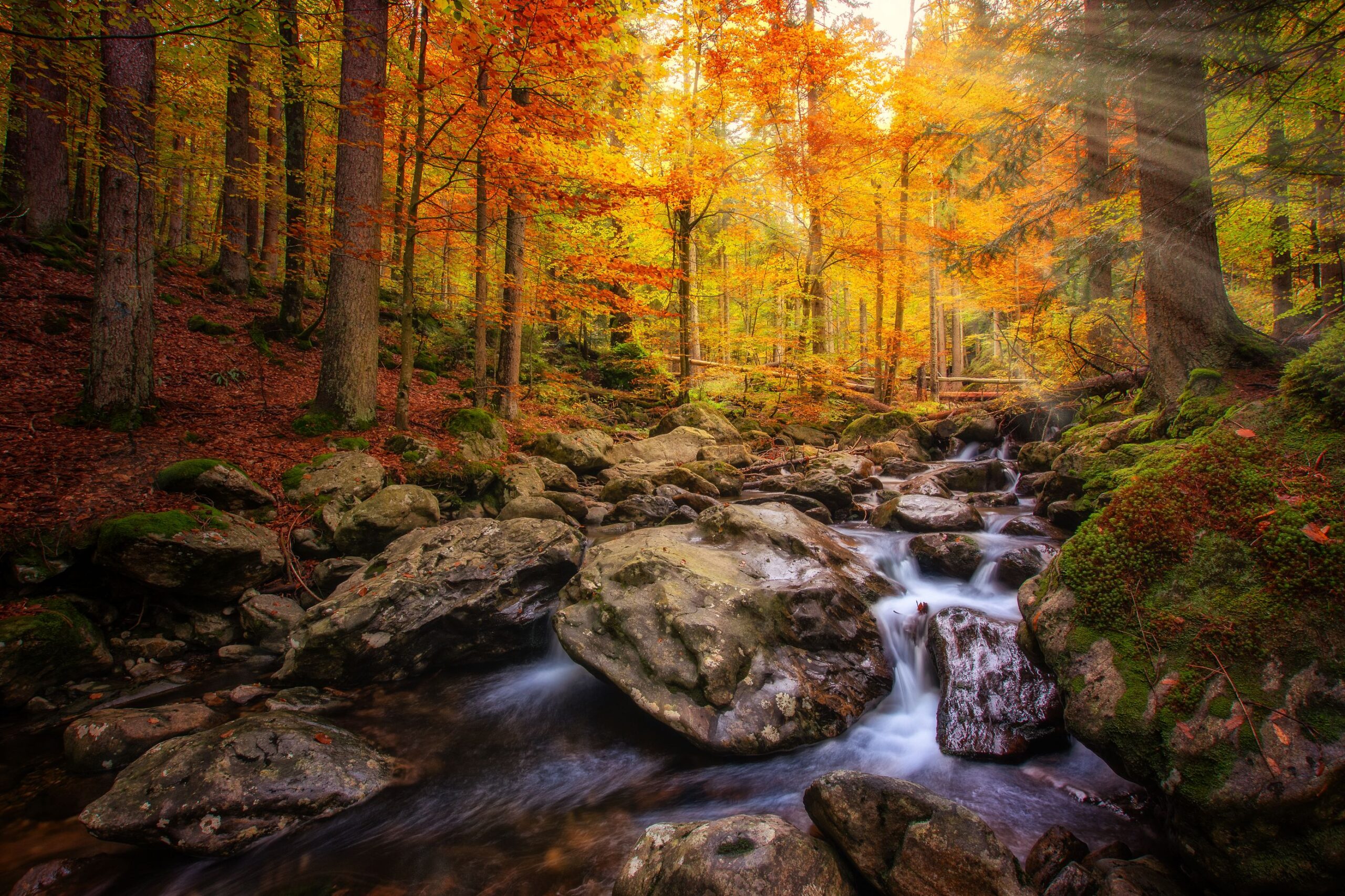 Rieslochwasserfälle bei Bodenmais im Herbst.