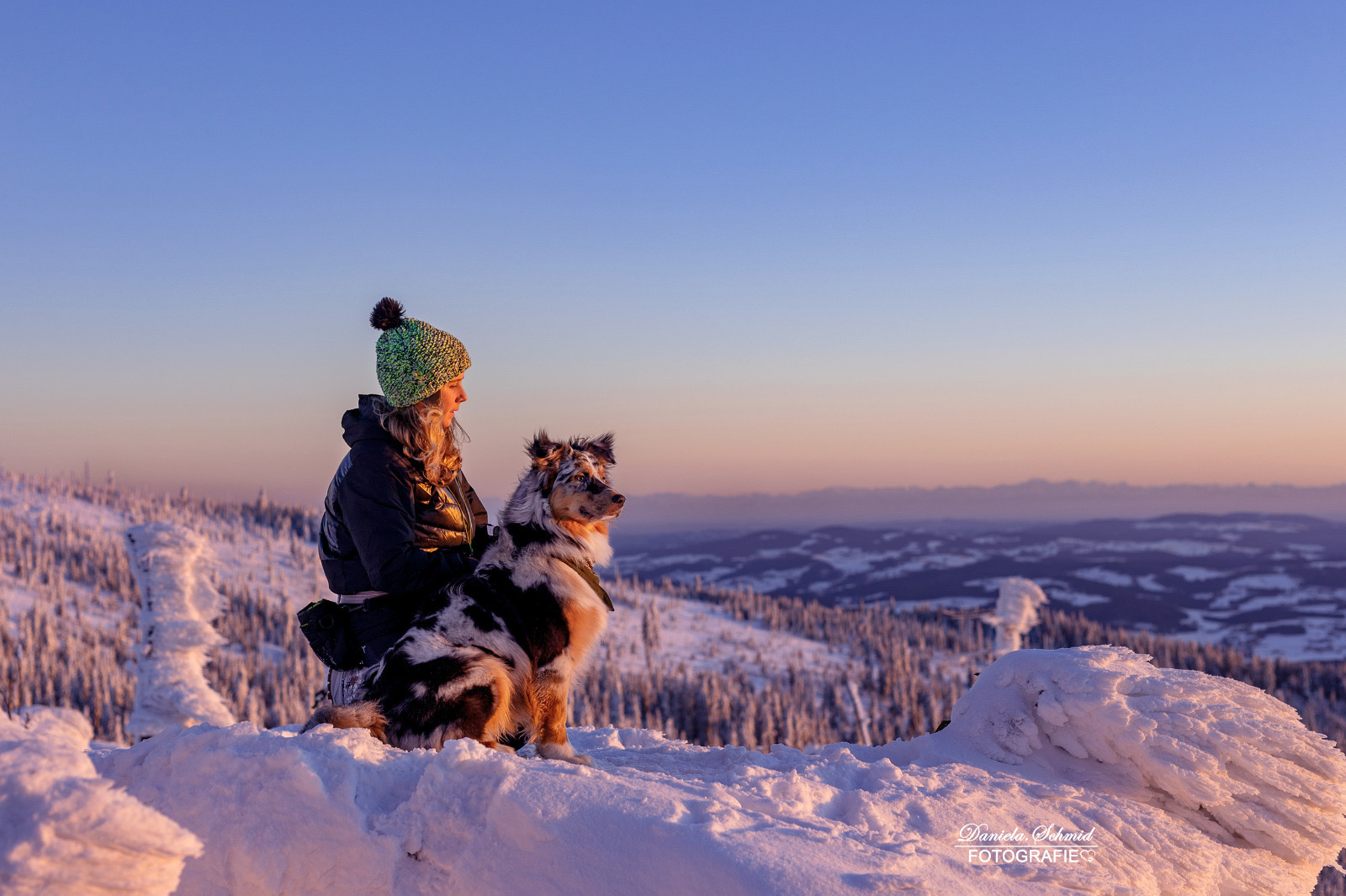 Berghund Bayerwald - Unterwegs im Bayerischen Wald ©Daniela Schmid