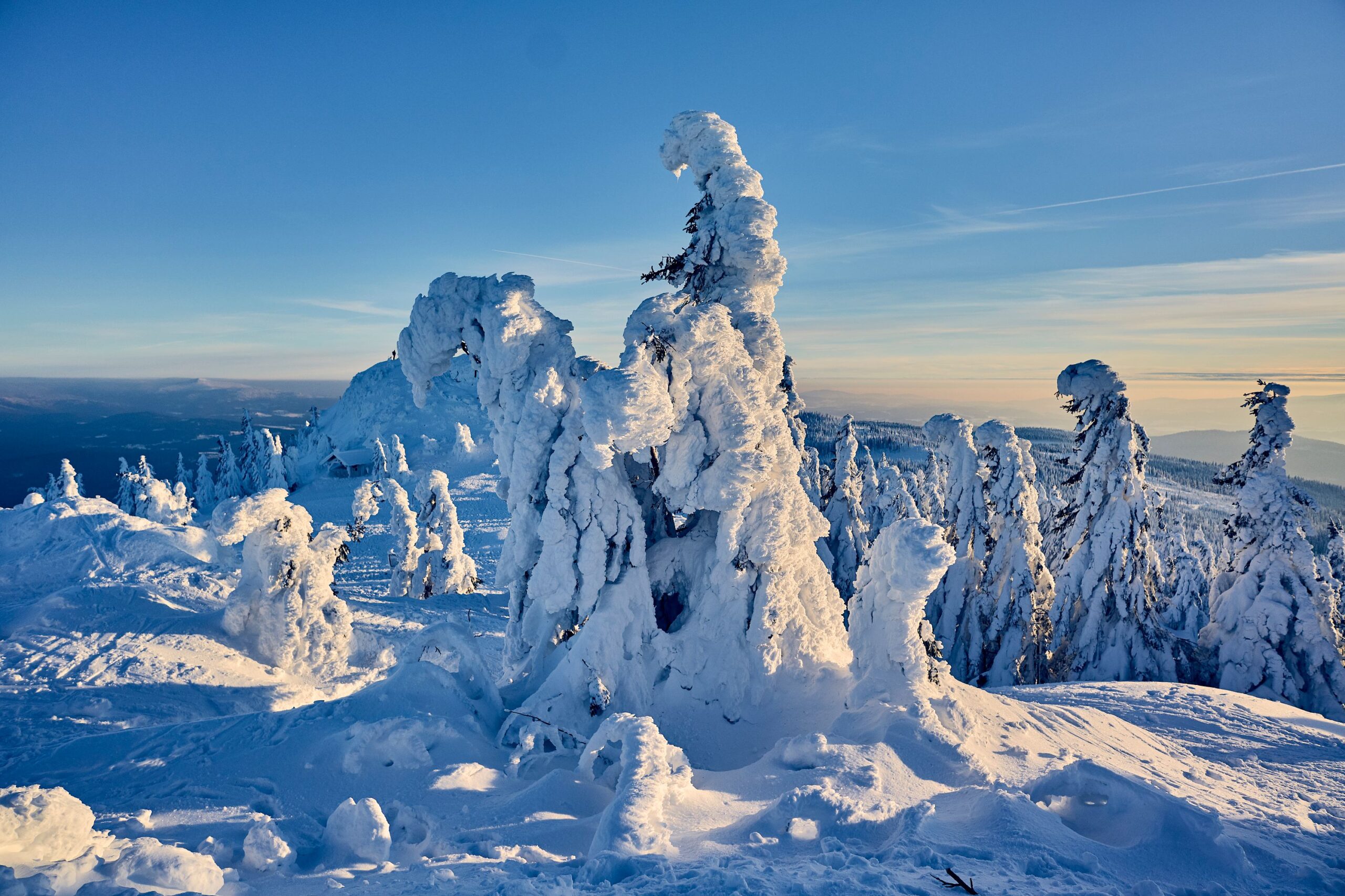 Blick in die Winterlandschaft am Großen Arber.