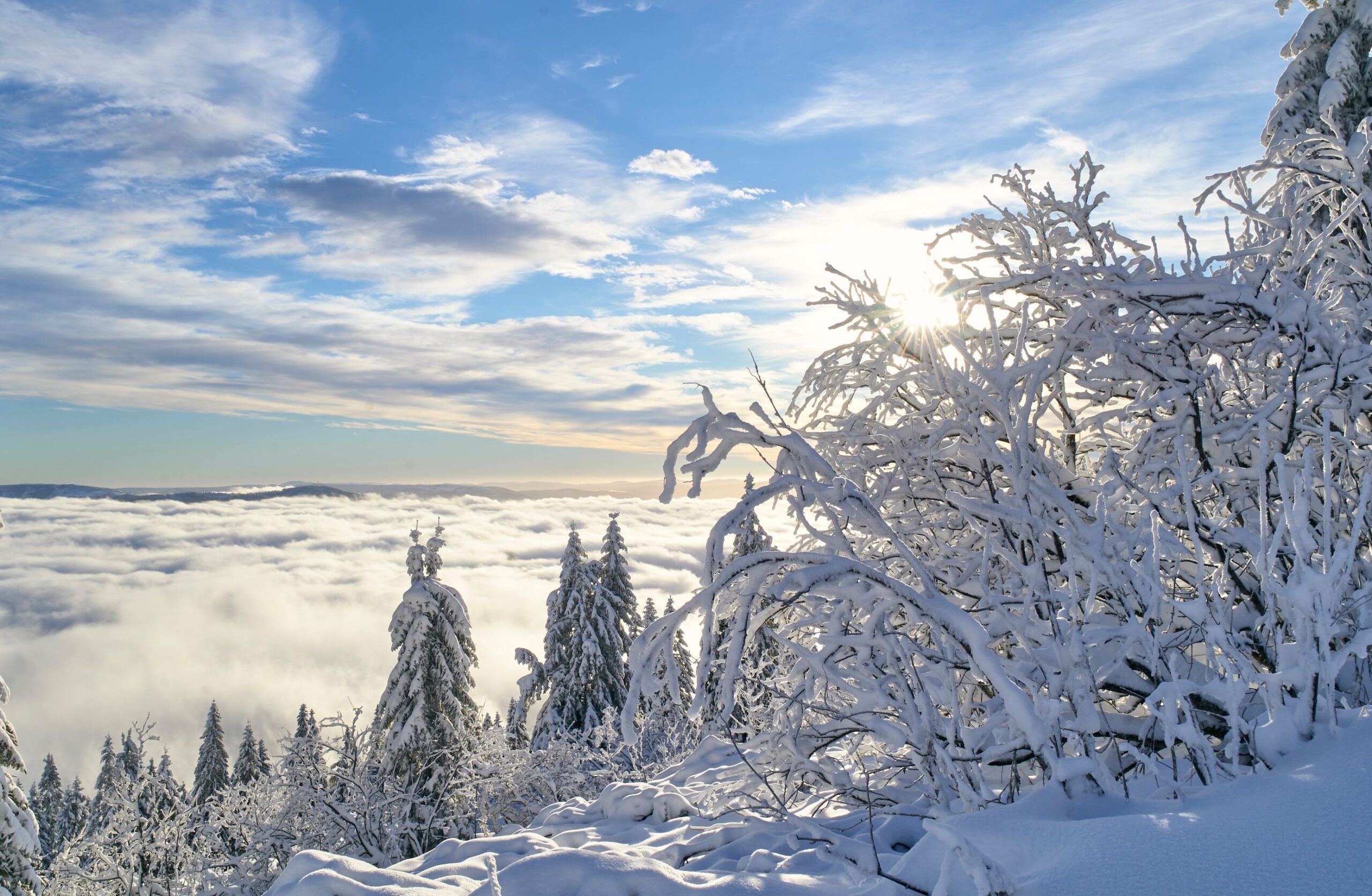 Winterzauber am Arber im Bayerischen Wald.