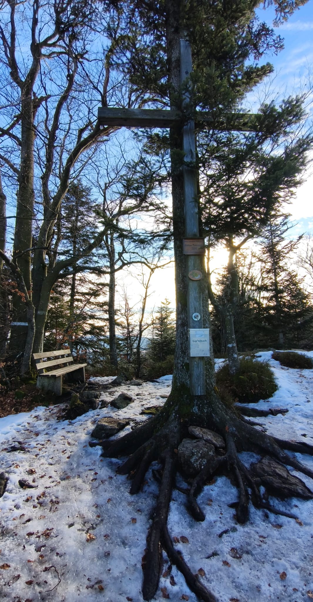 12-02-26_Abendstimmung am Harlachberg_REG_Biebl