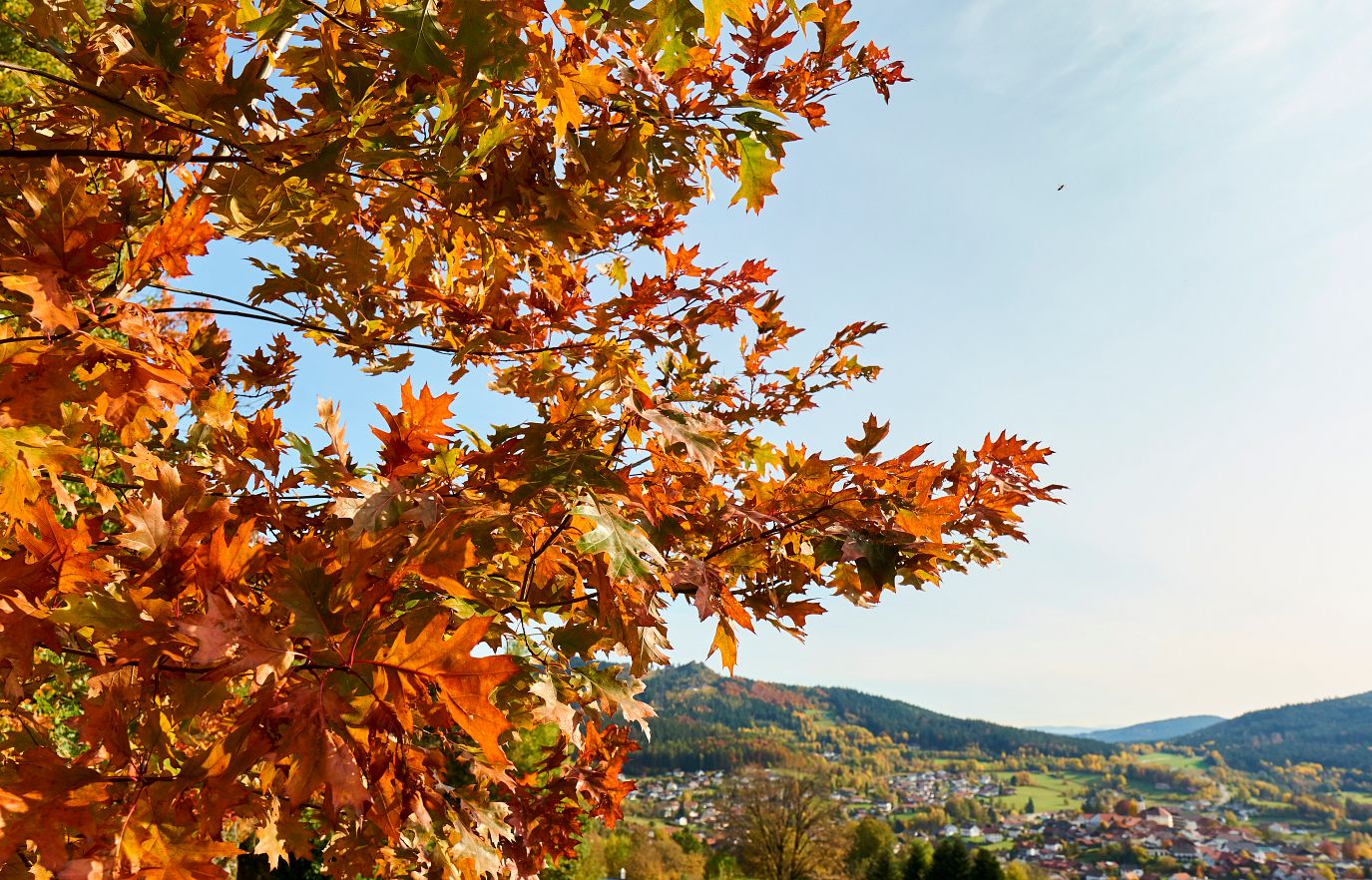 Blick auf Bodenmais im Herbst.
